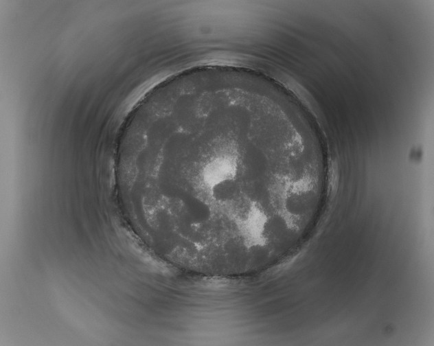 X0000112820829200909181622