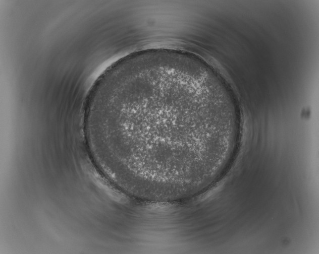 X0000112820830200909181622