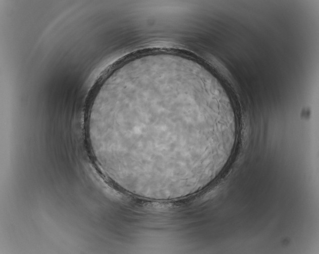 X0000112820831200909181622