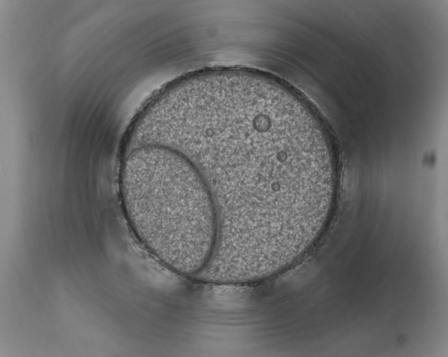 X0000112820832200909181622