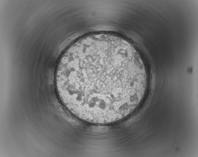 X0000112820833200909181622