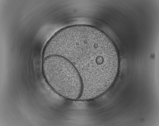 X0000112820836200909181622