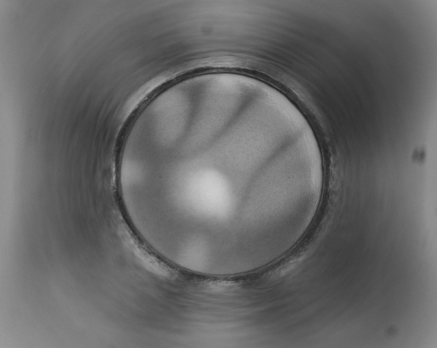 X0000112820837200909181622