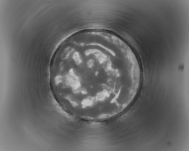 X0000112820839200909181622