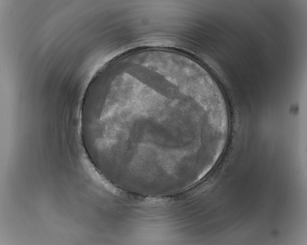 X0000112820840200909181622