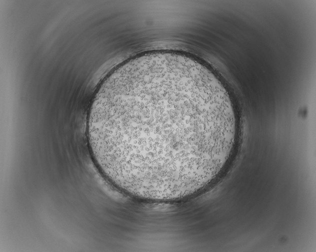 X0000112820841200909181623