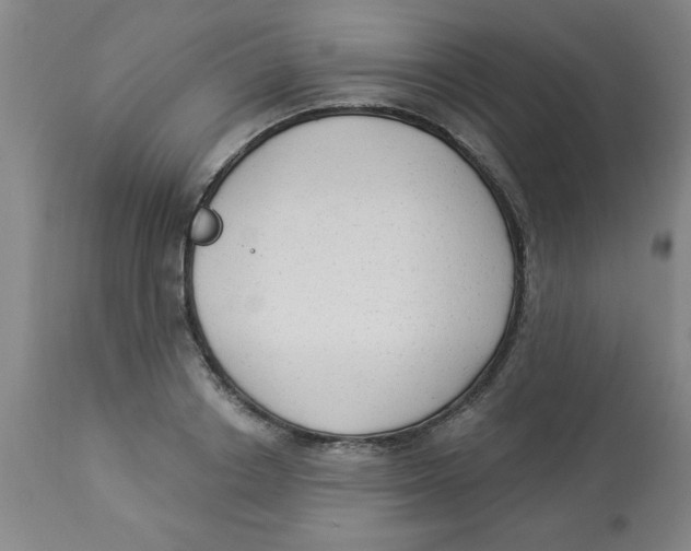 X0000112820842200909181623