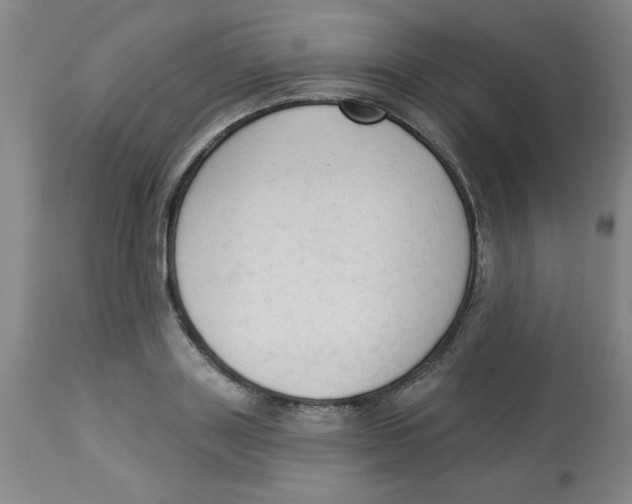 X0000112820843200909181623