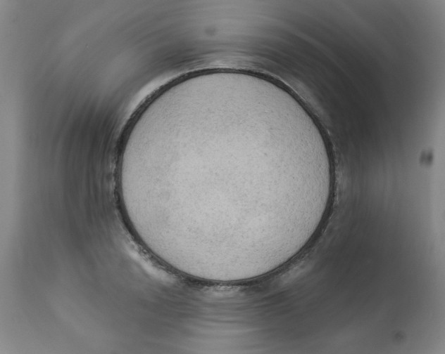 X0000112820846200909181623