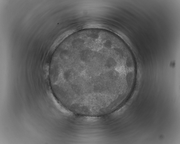 X0000112820849200909181623