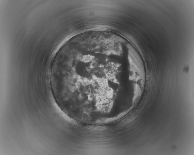 X0000112820851200909181623