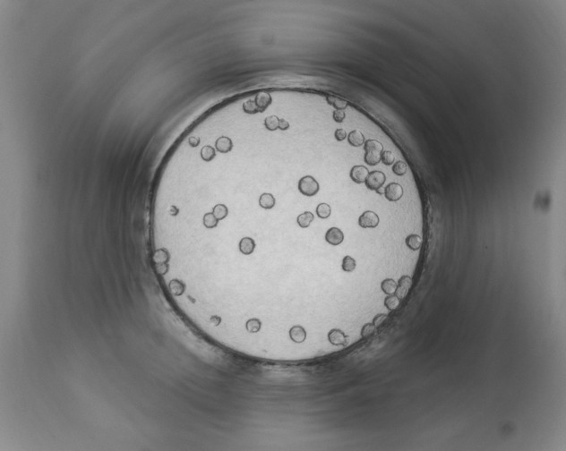 X0000112820852200909181623