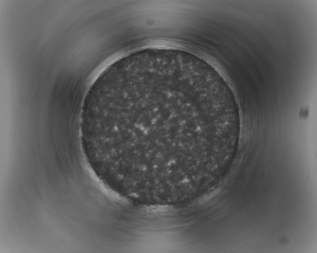 X0000112820853200909181623