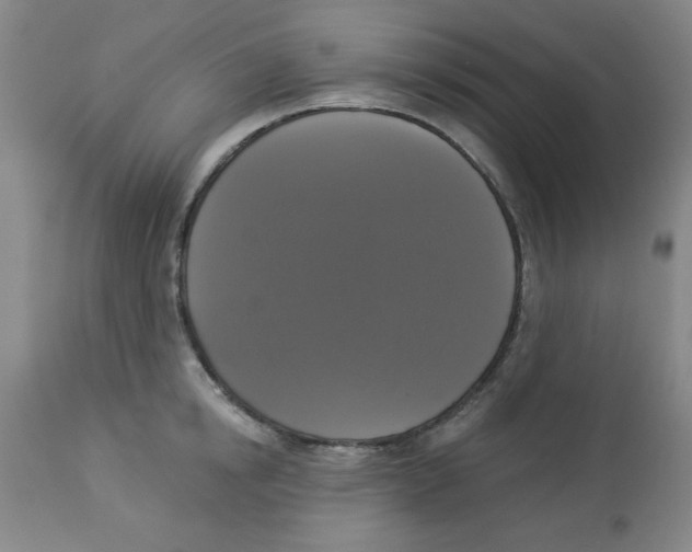 X0000112820854200909181623