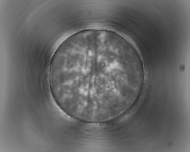 X0000112820855200909181623