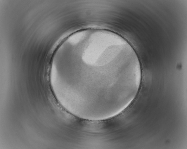 X0000112820856200909181623