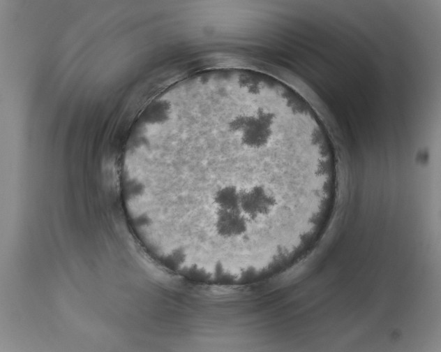 X0000112820857200909181623