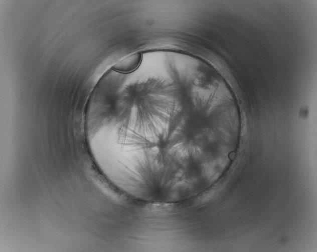 X0000112820858200909181623