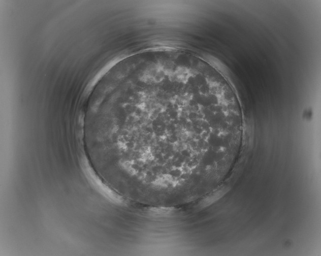 X0000112820859200909181623