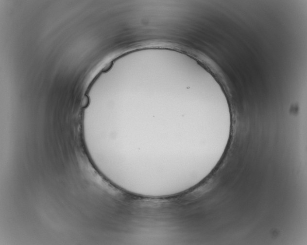 X0000112820860200909181623