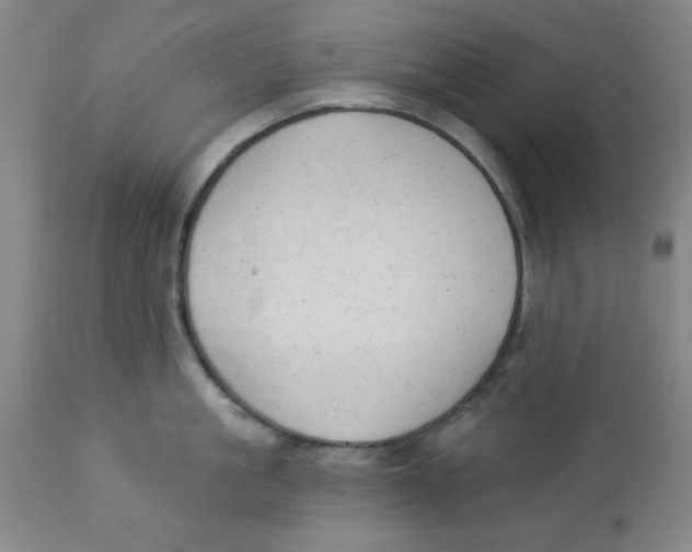 X0000112820861200909181623