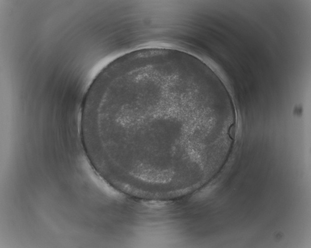 X0000112820862200909181623