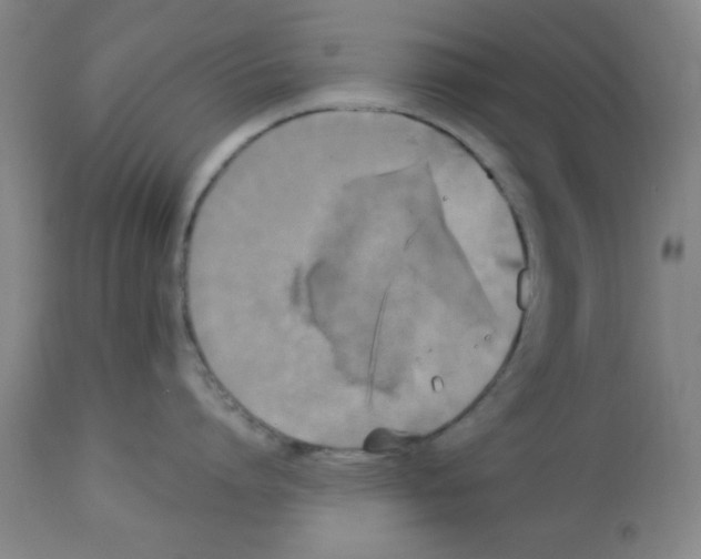 X0000112820864200909181623