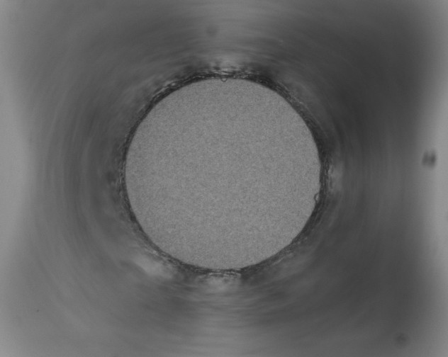 X0000112820865200909181622