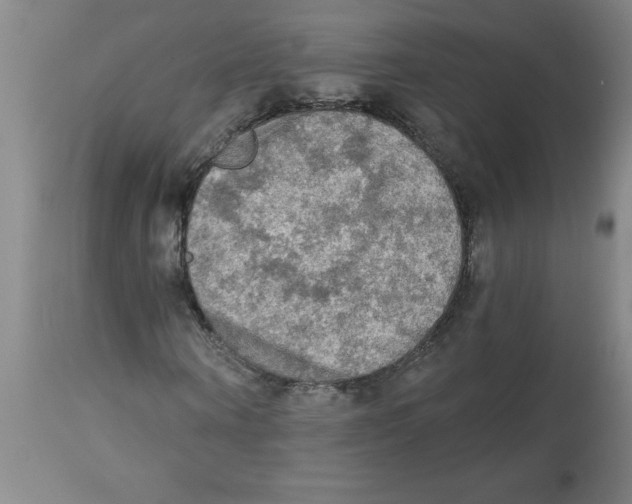 X0000112820866200909181622