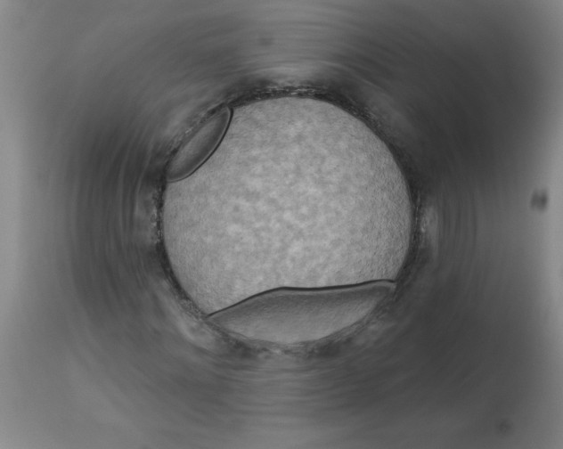 X0000112820868200909181622