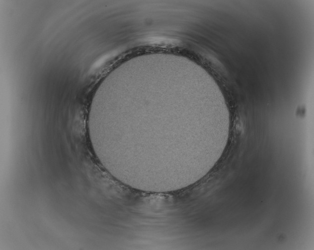 X0000112820869200909181622