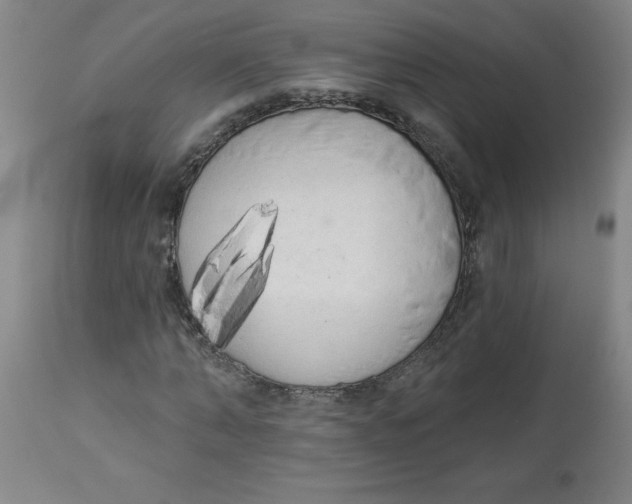 X0000112820870200909181622