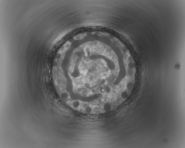 X0000112820871200909181622