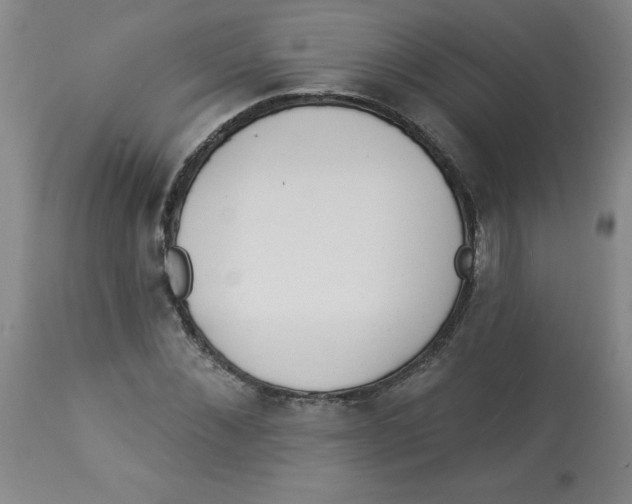 X0000112820876200909181622