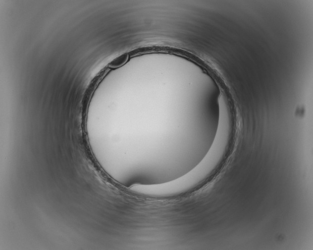 X0000112820877200909181622