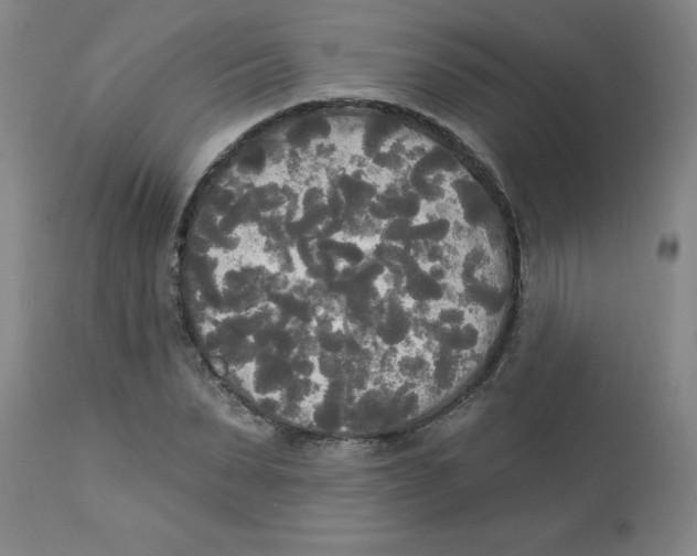 X0000112820879200909181622