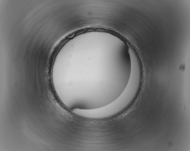 X0000112820880200909181622