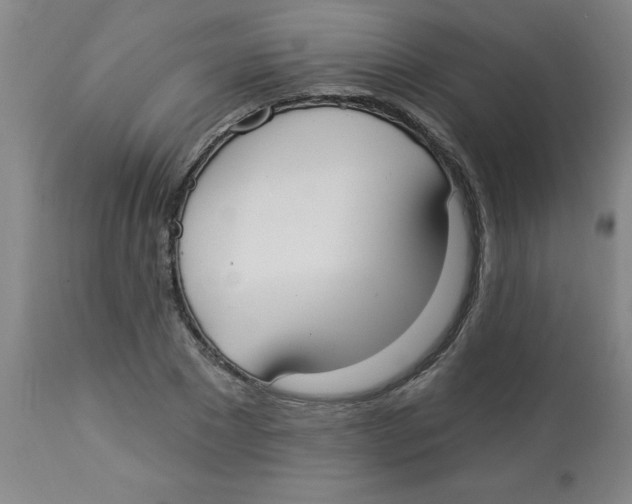 X0000112820881200909181622