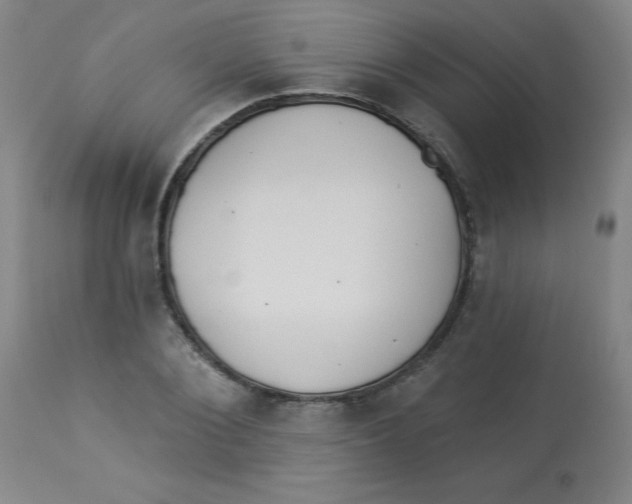 X0000112820884200909181622