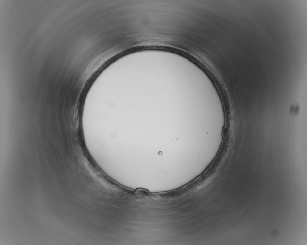 X0000112820885200909181622