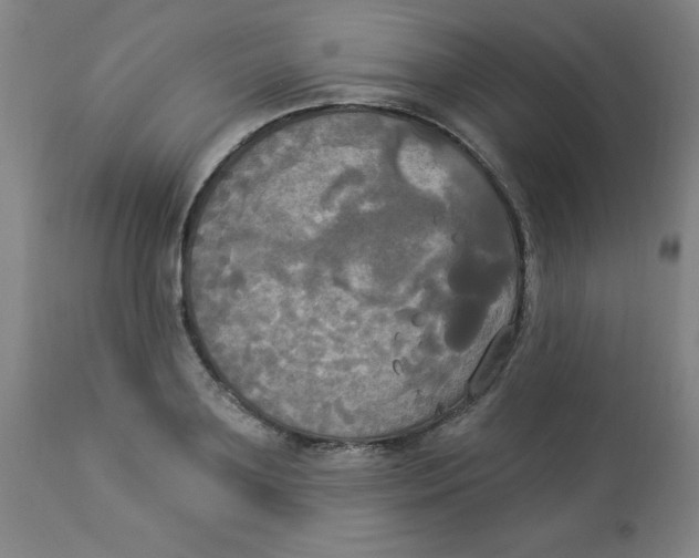 X0000112820891200909181622