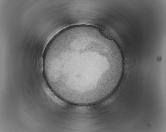 X0000112820892200909181622