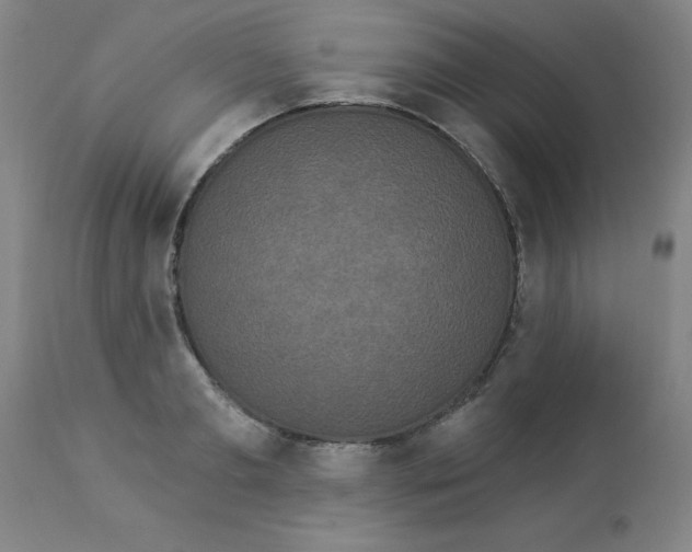 X0000112820893200909181622