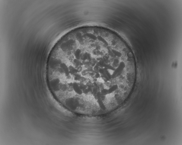 X0000112820895200909181622