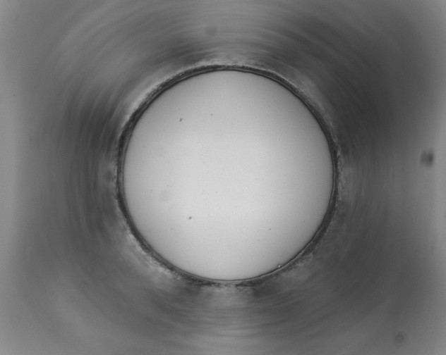 X0000112820896200909181622