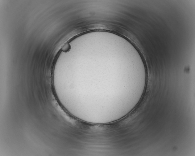 X0000112820898200909181622