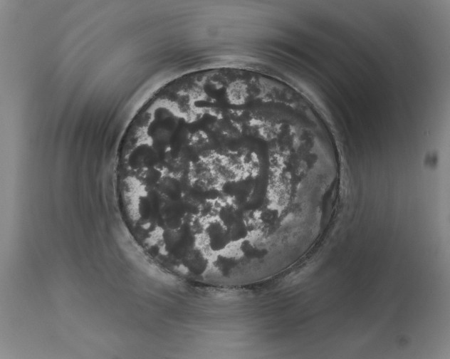 X0000112820899200909181622