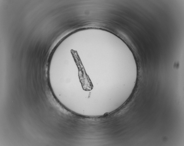 X0000112820900200909181622