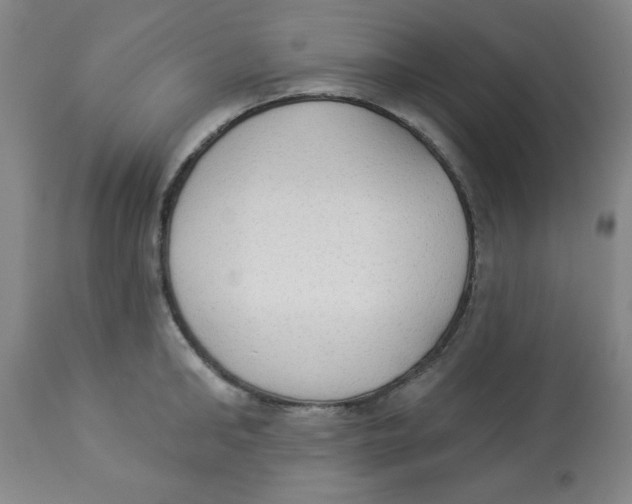 X0000112820902200909181622