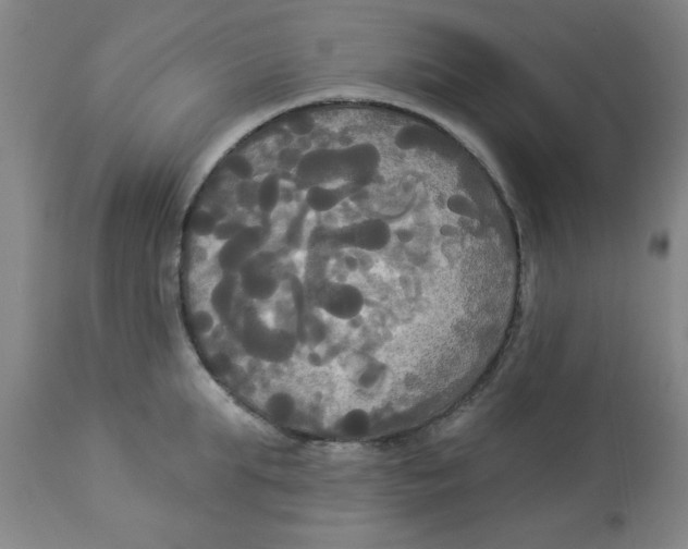 X0000112820903200909181622